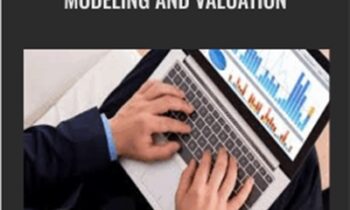 Beginner to Pro in Excel Financial Modeling and Valuation - 365 Careers