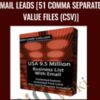 9.5 Million US Business Email Leads [51 Comma Separated Value Files (CSV)] – US Business Leads