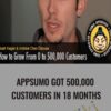 AppSumo got 500,000 customers in 18 months - AppSumo