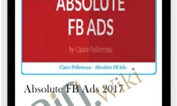 Absolute FB Ads 2017 - Claire Pelletreau