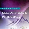 Advanced Elliott Wave Analysis by Constance Brown