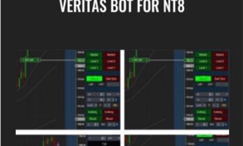 Veritas Bot for NT8 – Affordableindicators