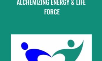 Alchemizing Energy & Life Force - Anne-Marie Clulow