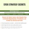 Stick Strategy Secrets – Alex Mandossian