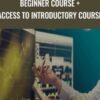 Beginner Course + access to Introductory Course - Alphatrends