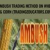 Ambush Trading Method on Wheat & Corn (tradingeducators.com) - Joe Ross