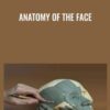 Anatomy of the Face - Melinda Whitmore