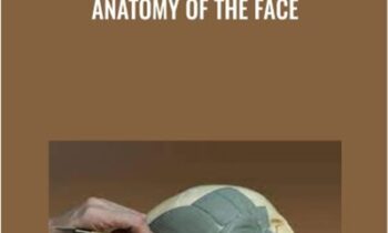 Anatomy of the Face - Melinda Whitmore