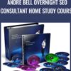 Andre Bell Overnight SEO Consultant Home Study Course