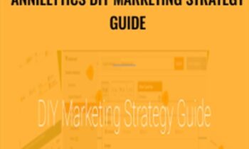 Annielytics DIY Marketing Strategy Guide - Annie Cushing