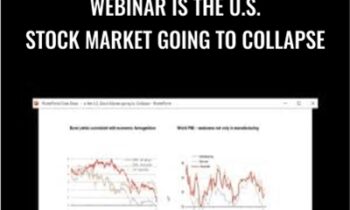 WEBINAR Is the U.S. Stock Market Going to Collapse – Anton Kreil & Ross Williams