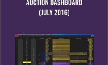 Auction Dashboard (July 2016)