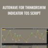 AutoWave for ThinkorSwim Indicator TOS Script