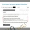 BIWS PowerPoint Pro