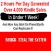 Brock- STEAL The System