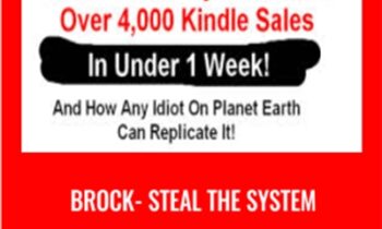 Brock- STEAL The System