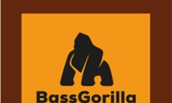 Electronic Music Composition - Bassgorilla