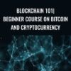 Blockchain 101|Beginner course on Bitcoin and Cryptocurrency