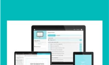 Blog to Biz Hive