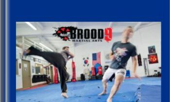 Brood 9 stunt system - Deni Jordan