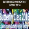 Butterflies for monthly Income 2016 – Dan Sheridan