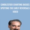 Candlestick Charting Basics Spotting the Early Reversals Video - Steve Nison