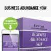 Business Abundance Now - Carol Look