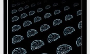 Variation in Working Memory - Christopher Jarrold