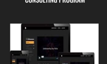 Consulting Program