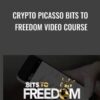 Crypto Picasso Bits To Freedom Video Course