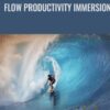 Flow Productivity Immersion - DIY Genius Media