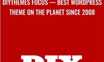 DIYthemes Focus — Best WordPress Theme On The Planet Since 2008