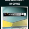 White Hat Black Belt SEO Course - Dan Thies and Leslie Rohde