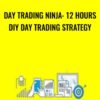 Day Trading Ninja: 12 Hours DIY Day Trading Strategy - Saad T. Hameed