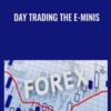 Day Trading The E-Minis - Zap Seminar & David Stendahl