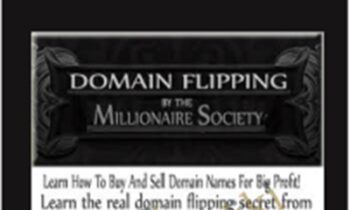 Domain Flipping By The Millionaire Society