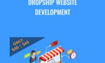 Dropship Website Development