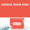 Ecommerce Premium Hybrid - Traffic