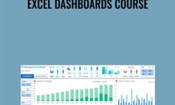 Excel Dashboards Course - Mynda Treacy