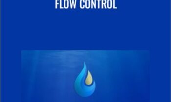Flow Control - Claus Levin