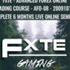 FXTE - Advanced Forex Online Trading Course - AFO-08 - 20091019 - Complete 6 Months Live Online Seminar  - Jimmy Young & Ross Beck