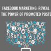 Facebook Marketing: Reveal The Power of Promoted Posts - Sandor Kiss