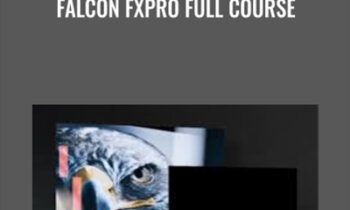 Falcon FxPro Full Course