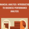 Financial Analysis: Introduction to Business Performance Analysis - Rudolph Rosenberg