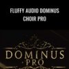 Fluffy Audio Dominus Choir Pro