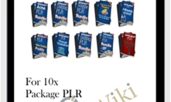 For 10x Package PLR Bundle Firesale Oto Downsell