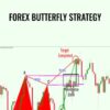 Forex Butterfly Strategy