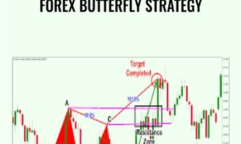 Forex Butterfly Strategy