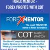 Forex Mentor - Forex Profits with COT - Frank Paul