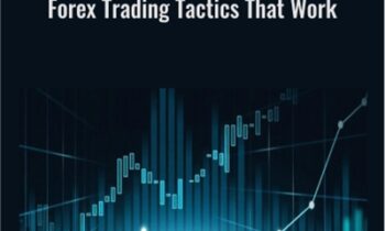 Forex Trading Tactics That Work